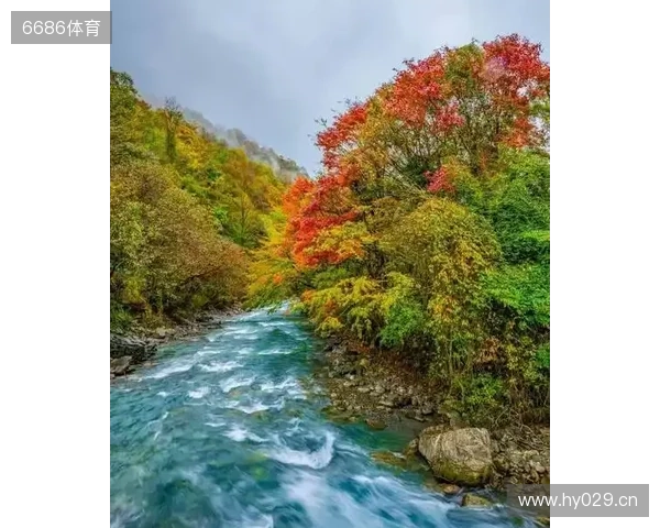 二郎山喇叭河赏秋之旅：立体彩林、野生动物、溪谷红石融为一体