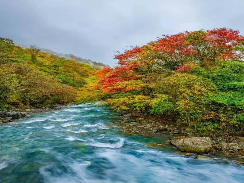 二郎山喇叭河赏秋之旅：立体彩林、野生动物、溪谷红石融为一体